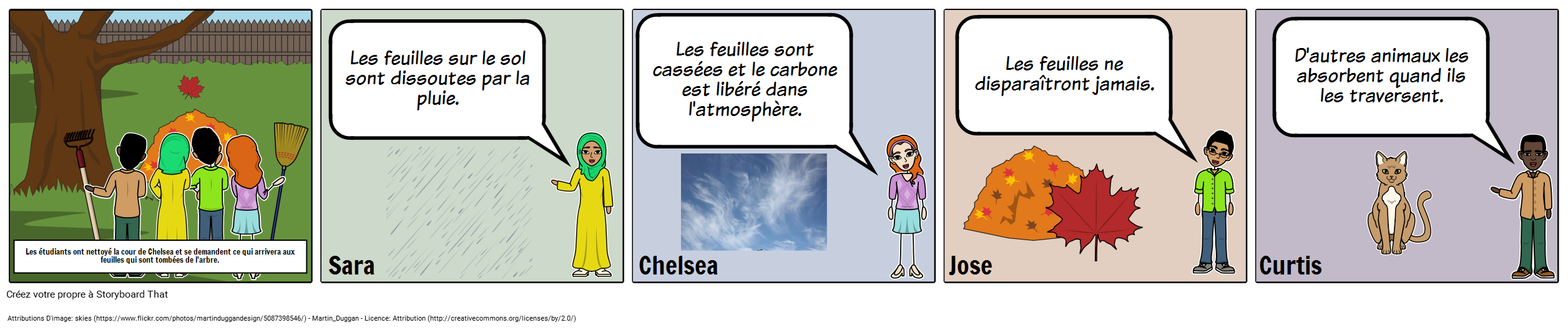 Discussion Storyboard - MS - Le Cycle du Carbone