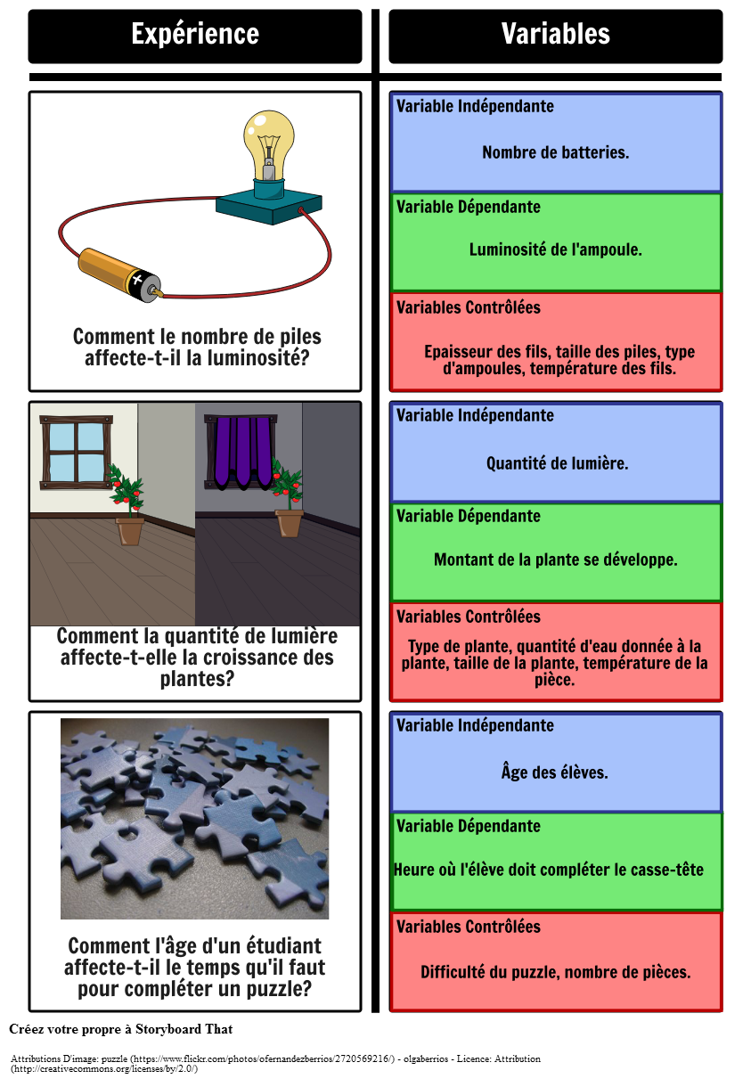 Identification des Variables