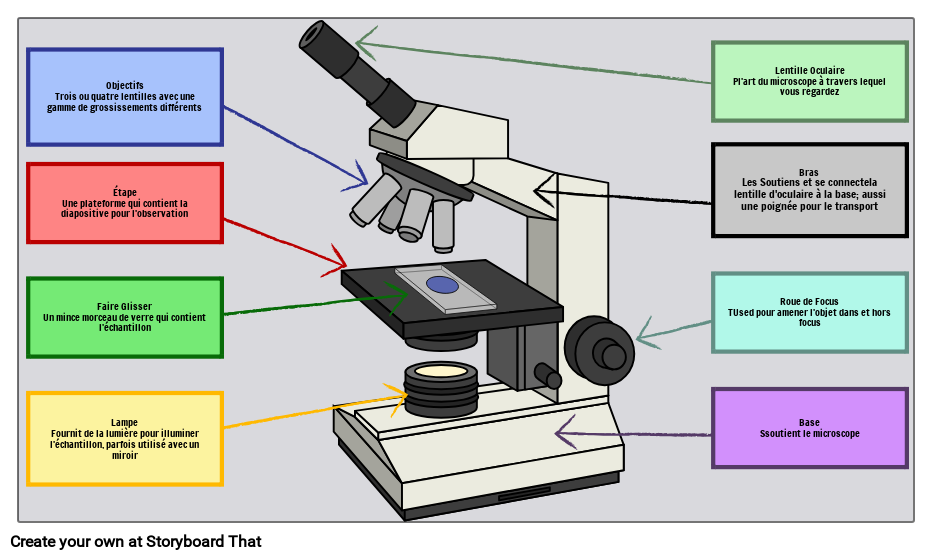 Les Parties D un Microscope Et Leurs Fonctions Microscope descript 01 Les Parties D un Microscope Et Leurs Fonctions Microscope descript 01