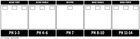 Modèle D'échelle de pH
