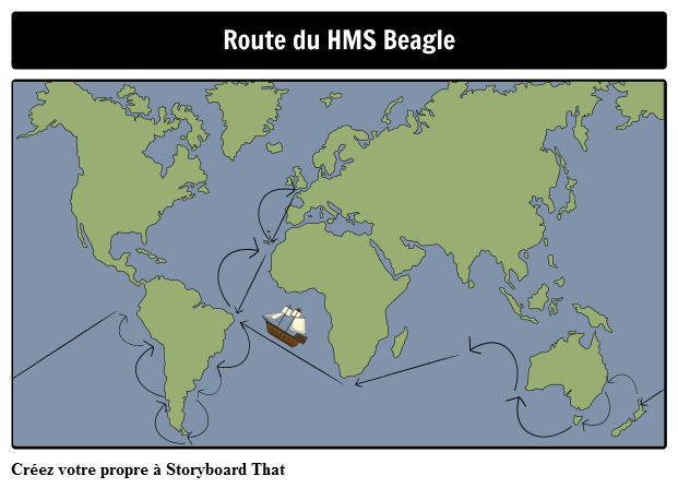 Route Beagle