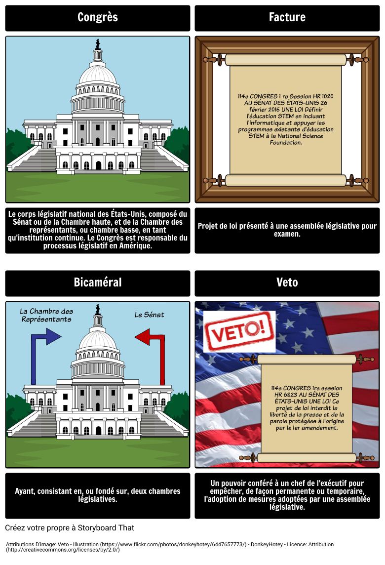 Vocabulaire de la Branche Législative