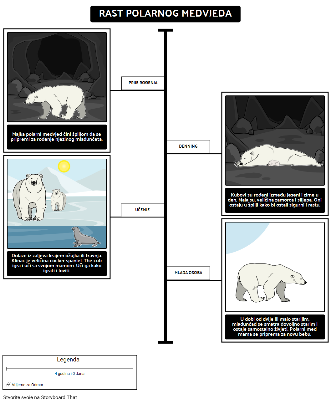 Gdje Žive Polarni Medvjedi? Rast Polarnog Medvjeda