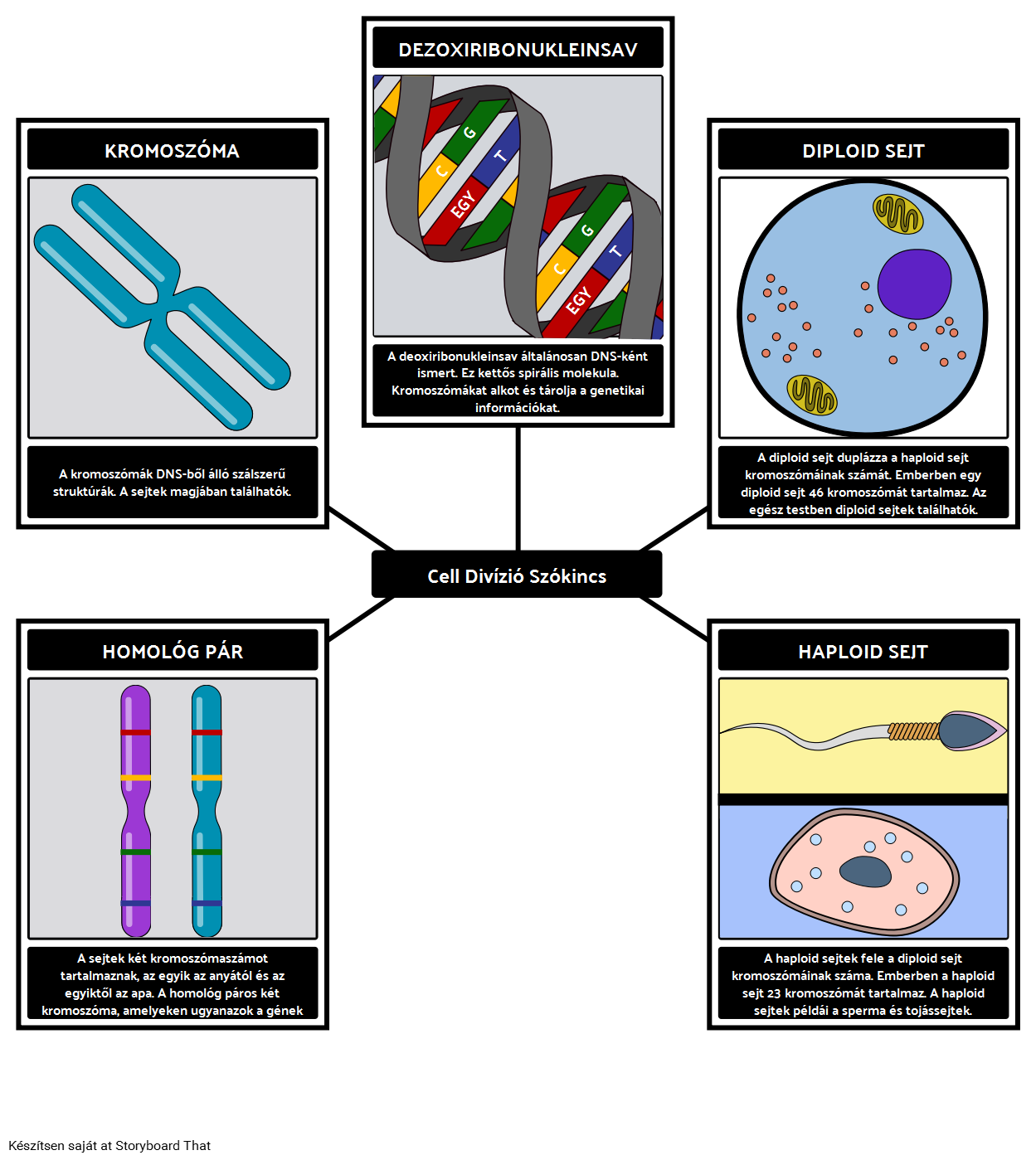 Cell Divízió Szókincs