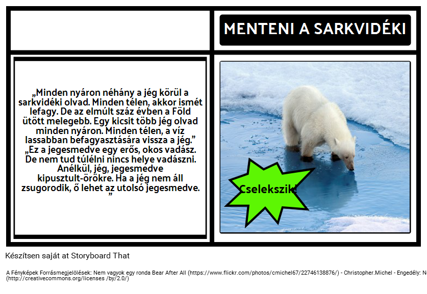 Hol Polar Bears Élő? PSA