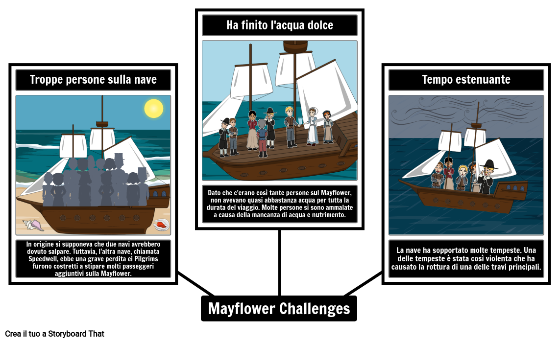 Mayflower Challenges Spider Map