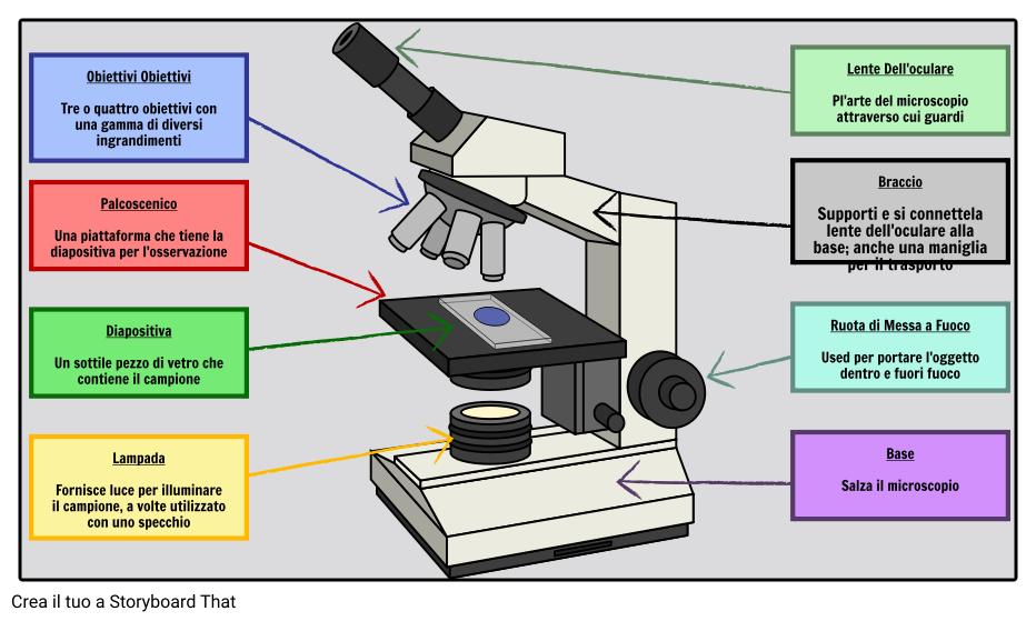 Microscopio etichettato con funzioni