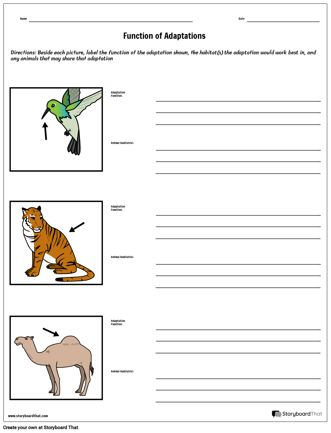 Free Printable Worksheets Animal Adaptations