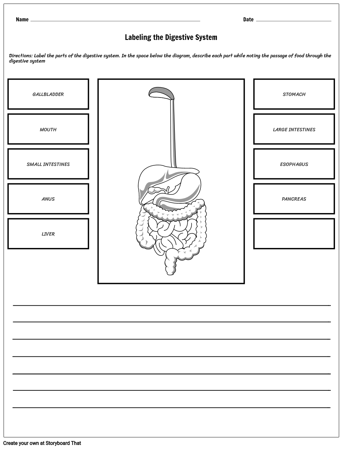 Free Digestive System Printables Printable Form Templates And Letter
