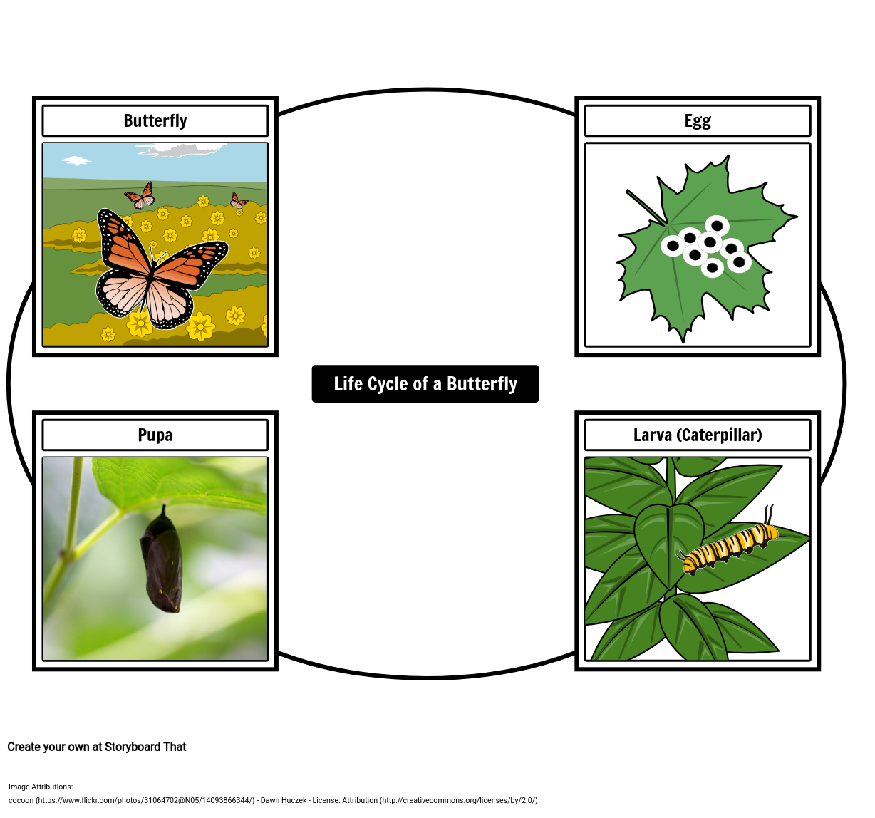 the-life-cycle-of-a-butterfly-s-eeskeem-poolt-kristen