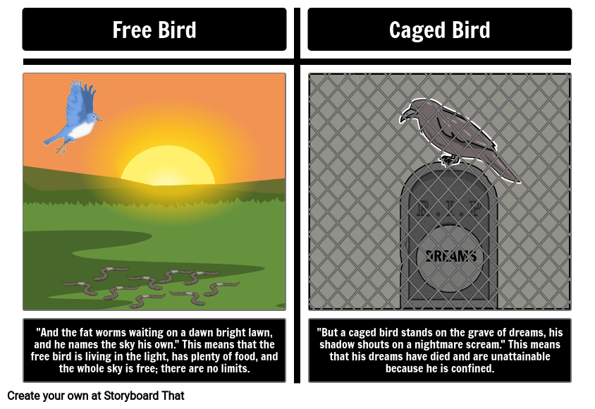 Caged Bird vs Free Bird