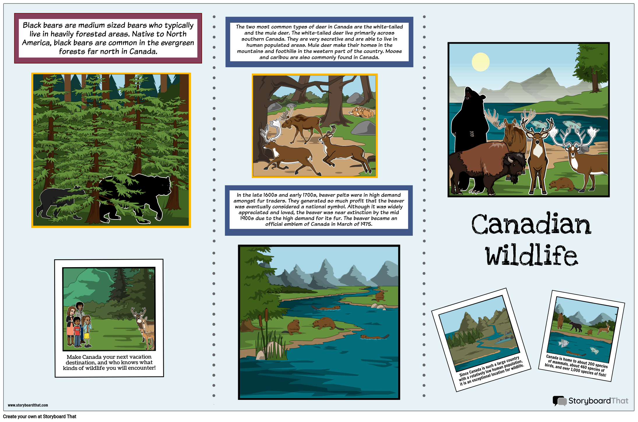 Canadian Nature and Wildlife Brochure Activity