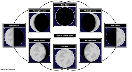 Cycle Chart Layout | Using Circle Charts in Education