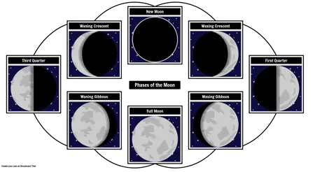 Cycle of Moon Phases