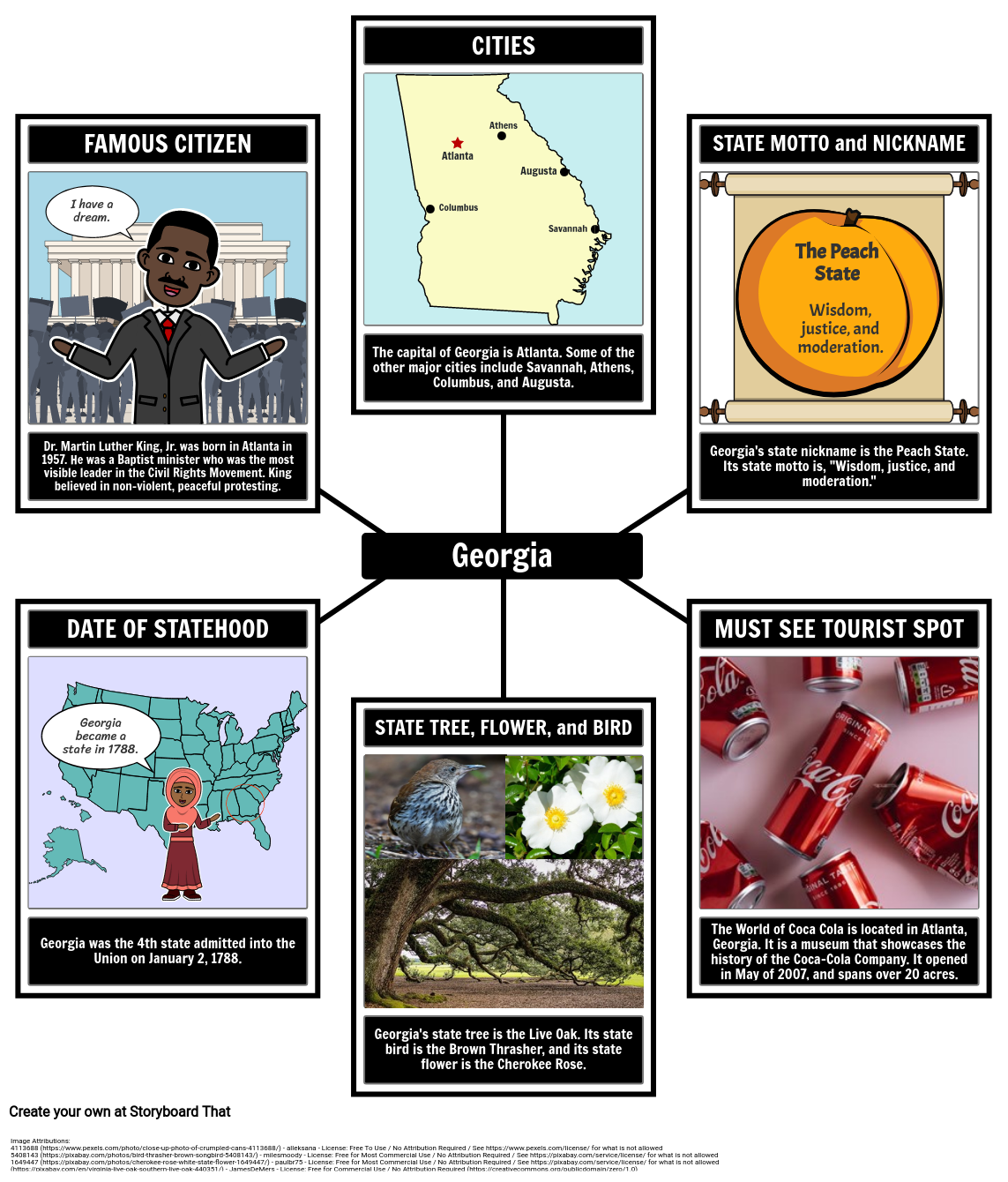 Facts About Georgia Storyboard