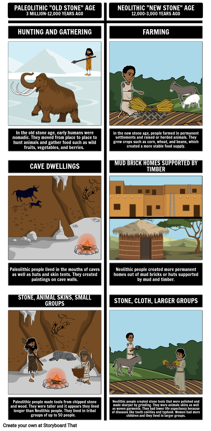 Early Humans Paleo vs. Neolithic Comparision Storyboard