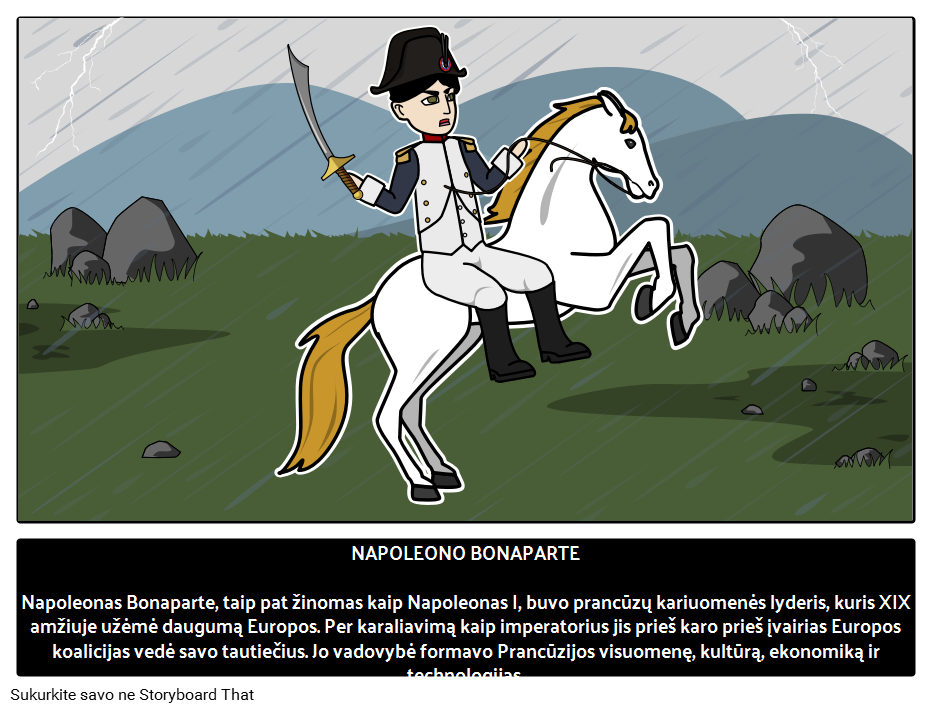 Napoleonas Bonapartas: Prancūzijos Karinis Vadas 