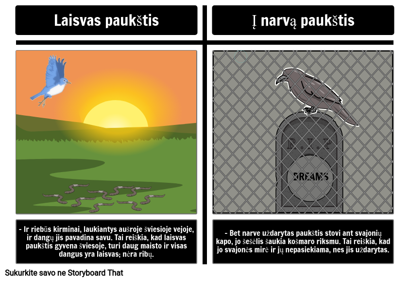 Narvas Narve: Analizė