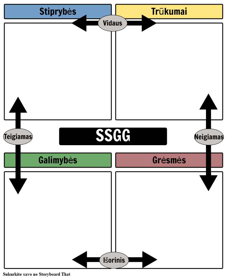 SSGG Analizė Pavyzdys
