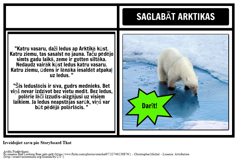 Kur Polar Bears Live? PSA