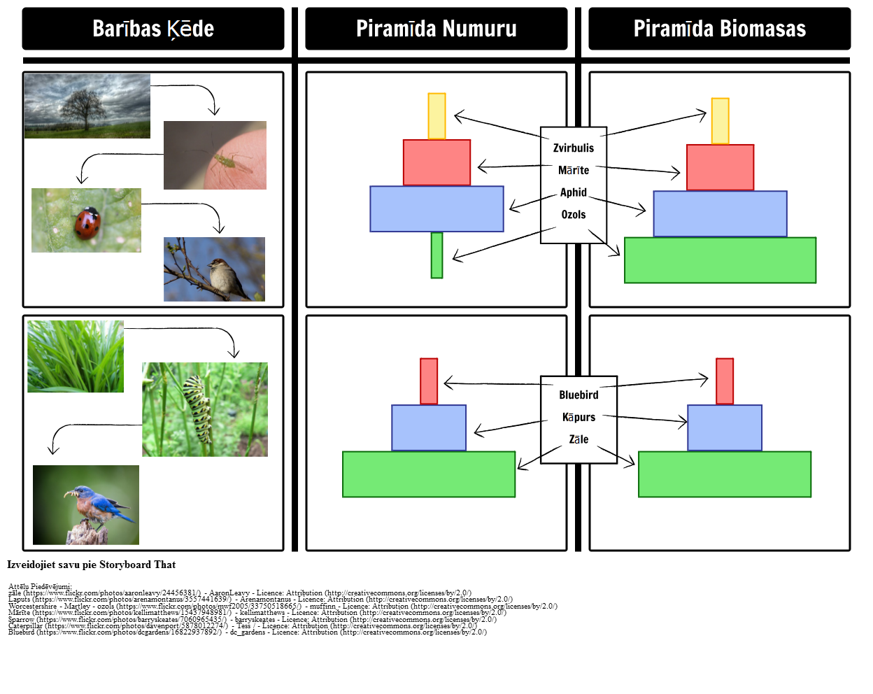 Piramīdas Biomasas un Piramīdas Numuriem