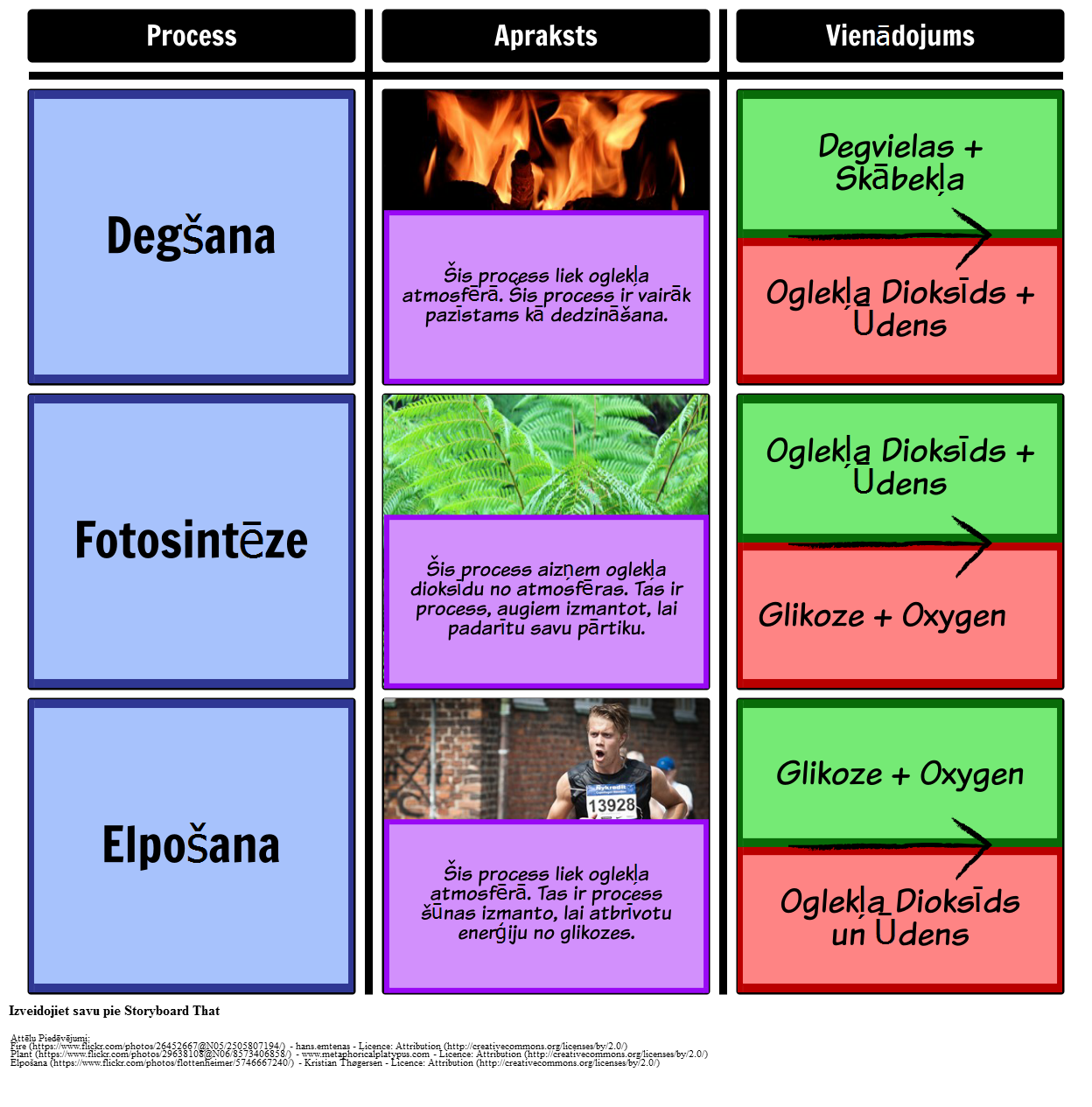 Procesi Oglekļa Ciklā