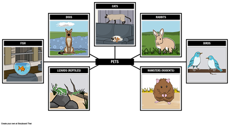 Spider Map - Pets