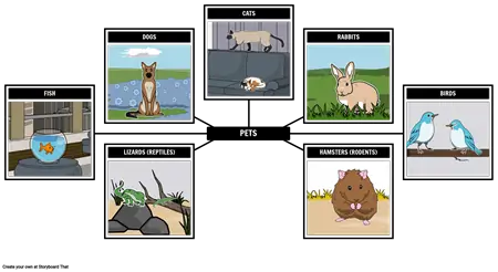 Spider Map - Pets
