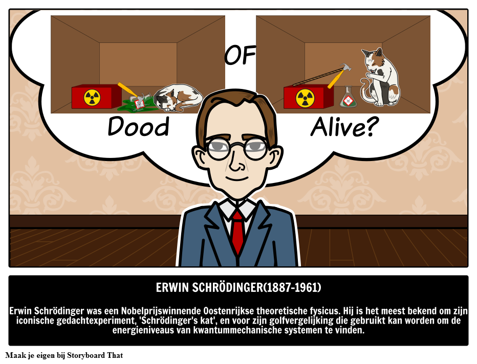 Wie was Erwin Schrödinger? 