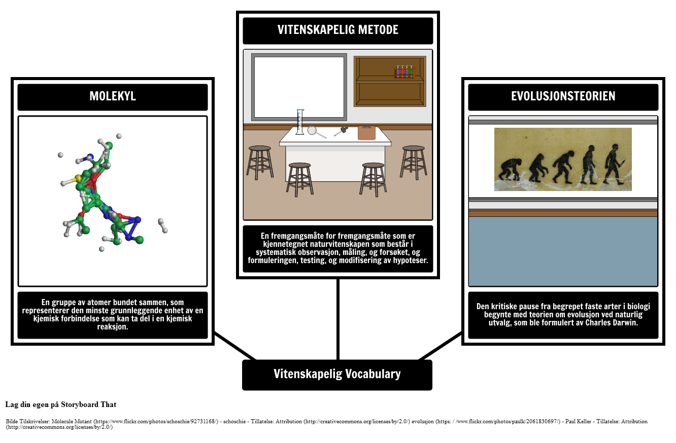 Visual Vocabulary - Science