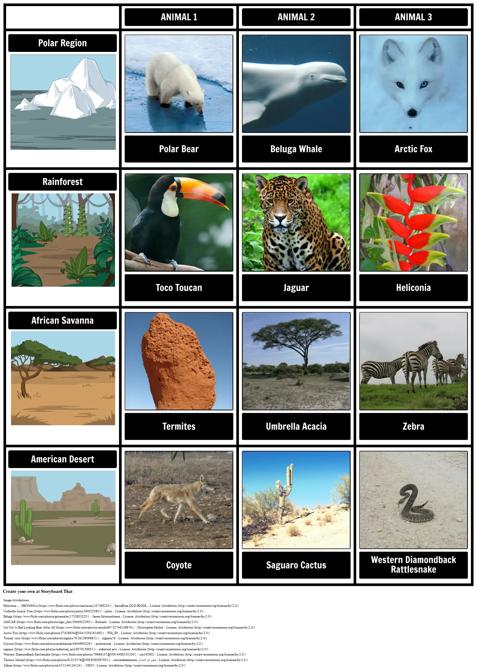 amazon-rainforest-animals-adaptations