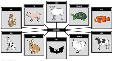 Visual Vocabulary: Animals