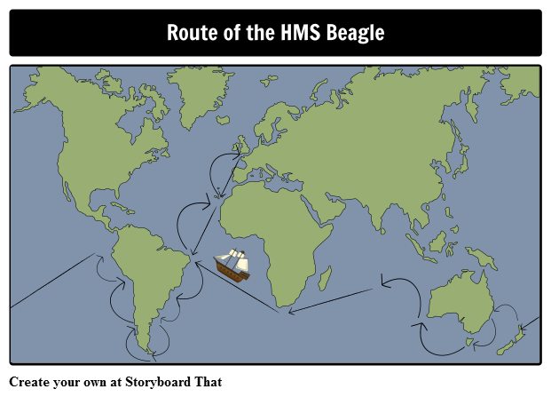 Beagle Route
