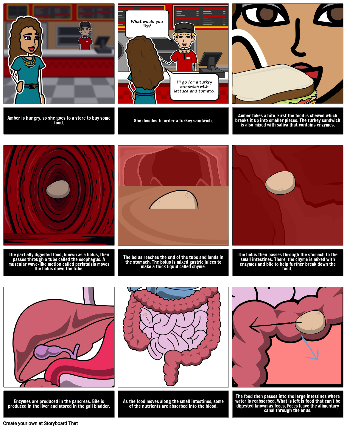 Digestion Narrative: How is Food Digested?
