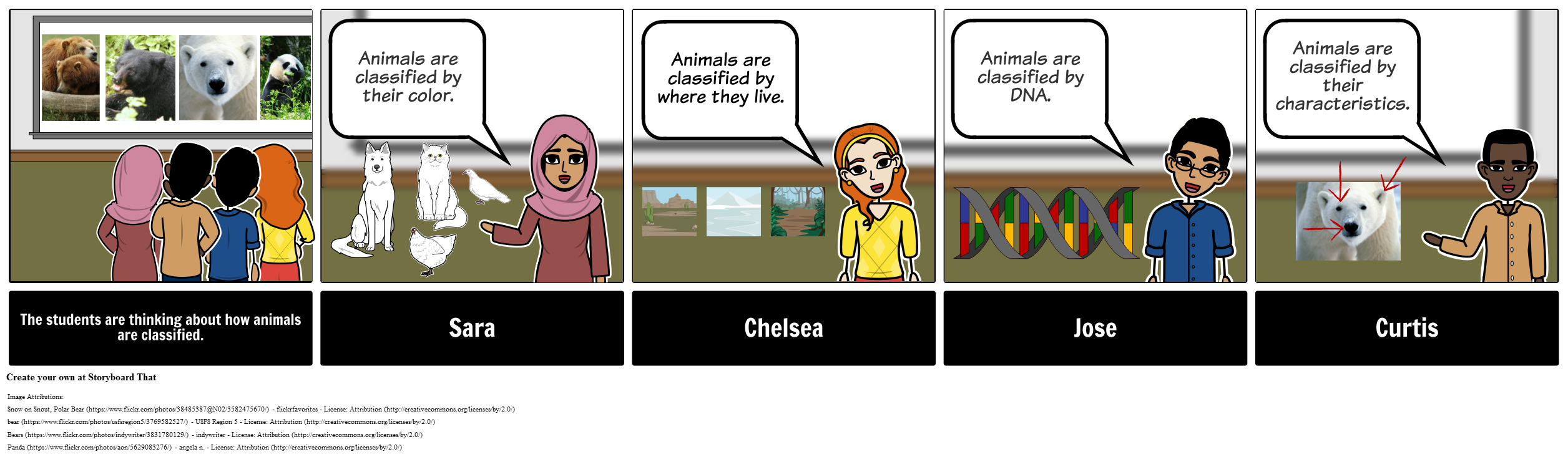 Discussion Storyboard on Animal Classification - MS