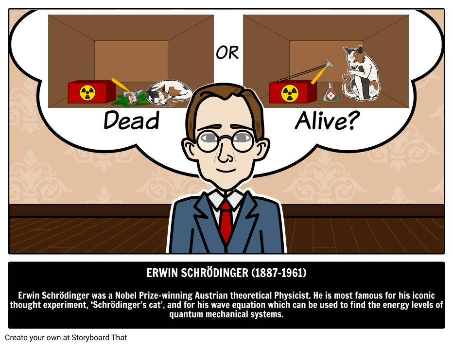 Who Was Erwin Schrödinger?