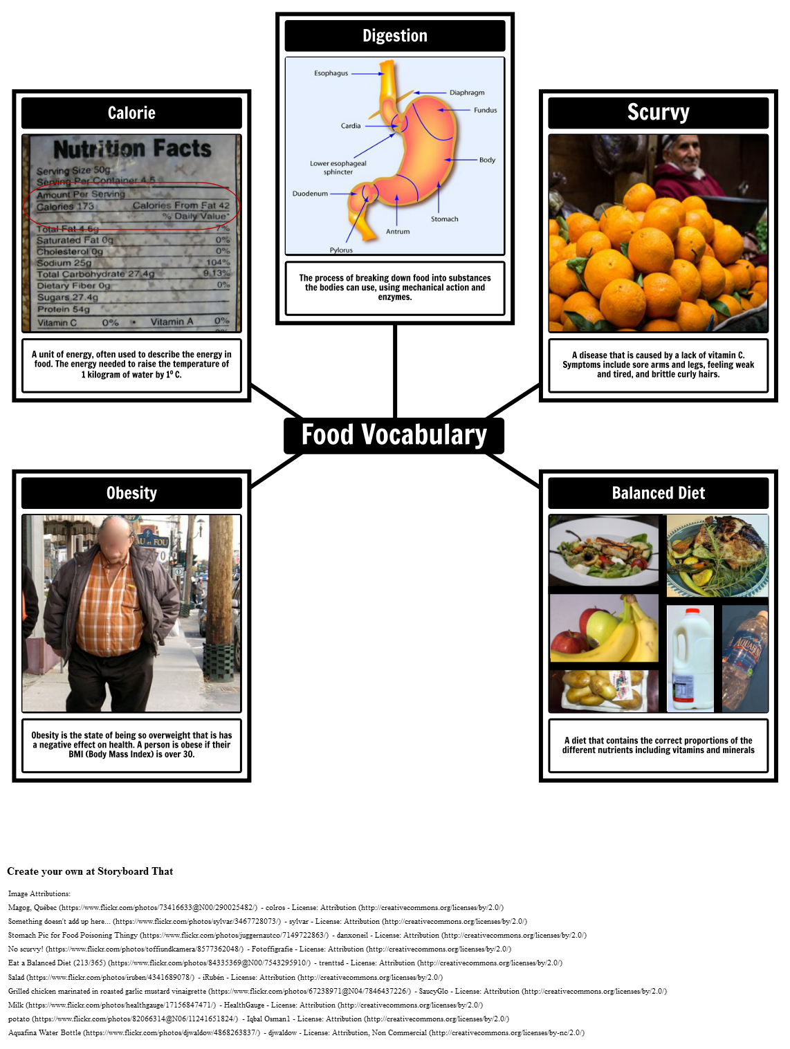 introducing-food-nutrition-vocabulary