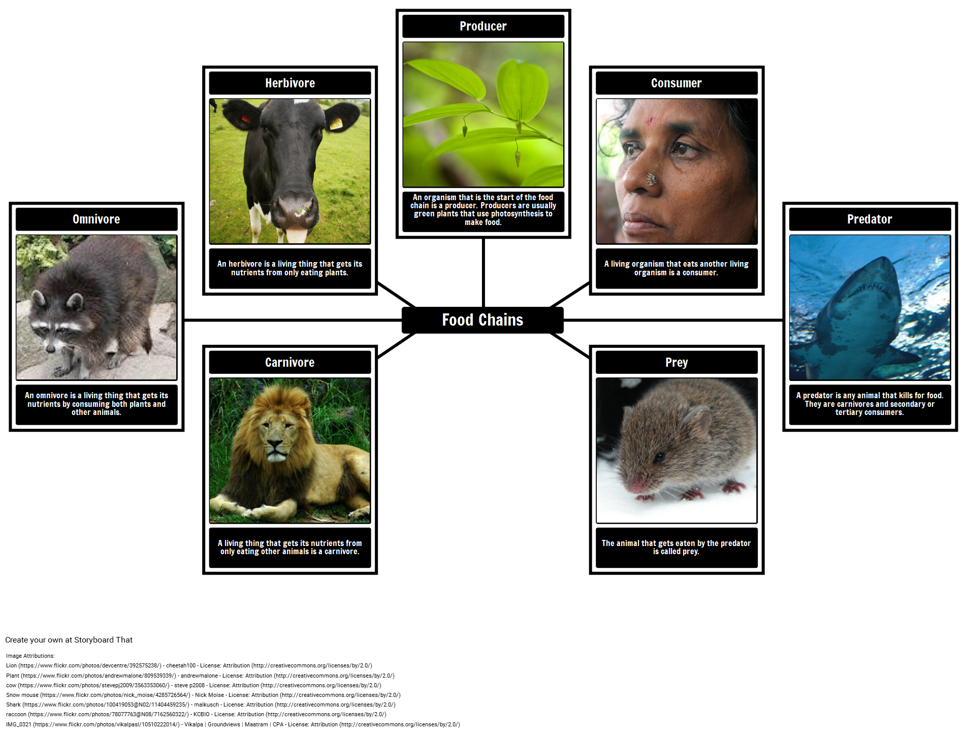 Food Chain Vocabulary S eeskeem Poolt Oliversmith