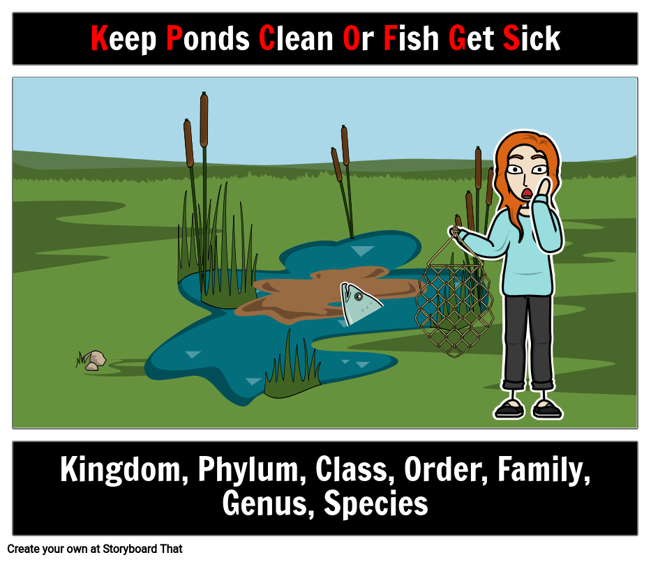 Keep Ponds Clean or Fish Get Sick