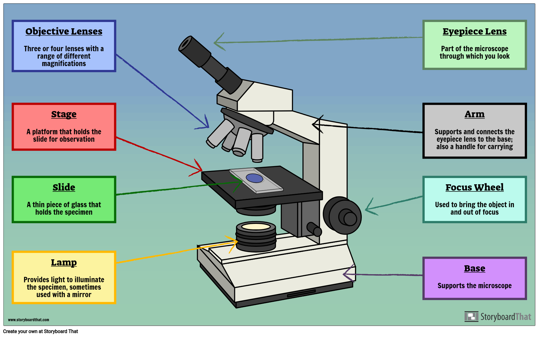 microscope parts labeled for kids