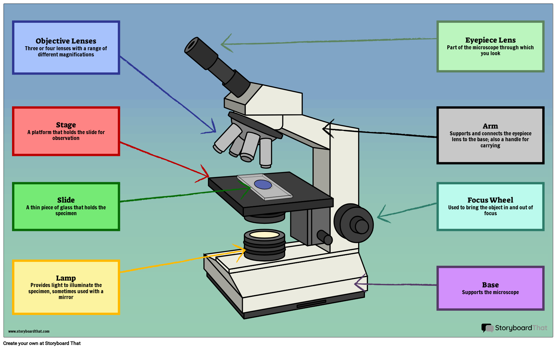 Parts Of A Microscope And Function Basevfe