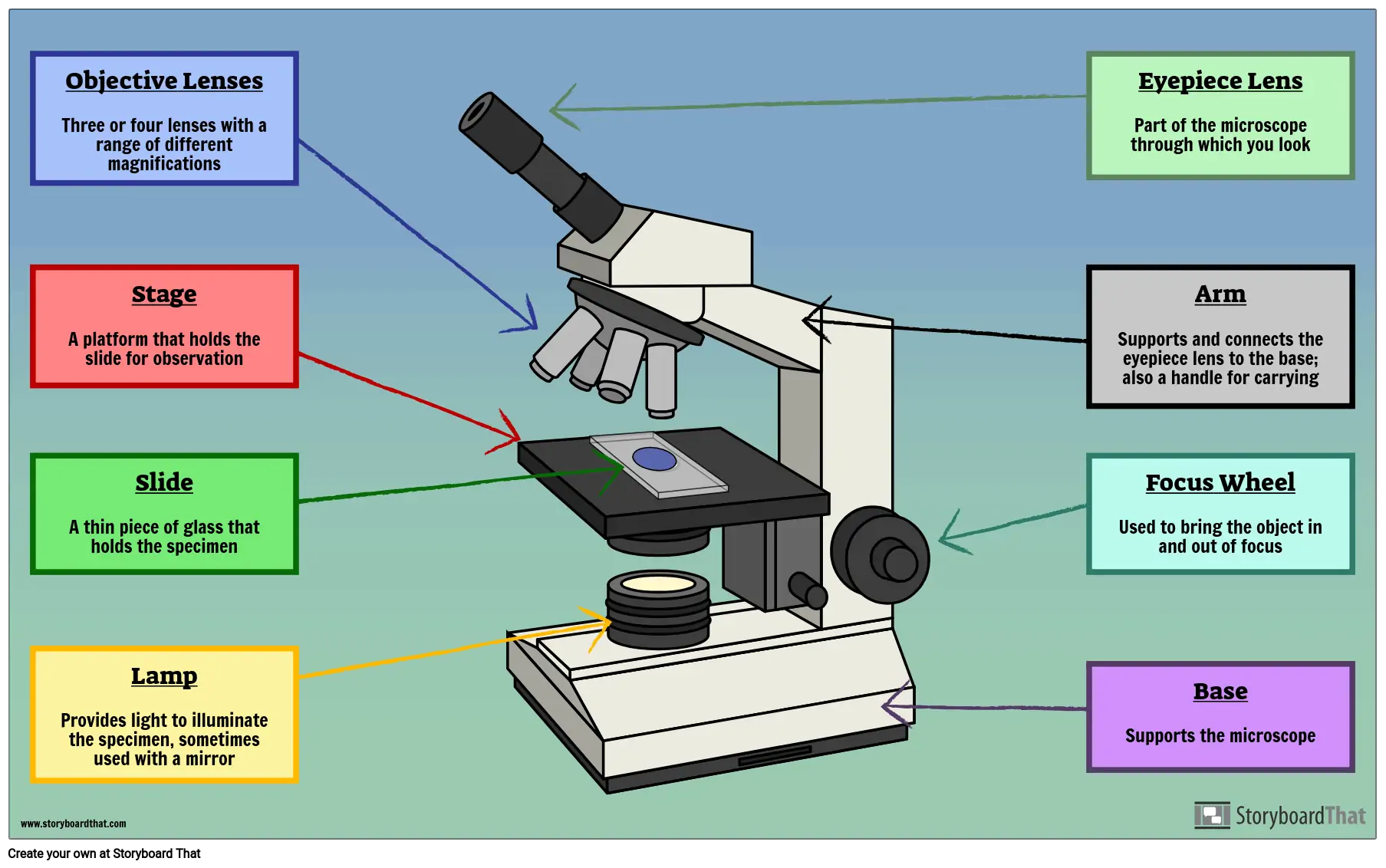 Labeling the Parts of a Microscope: Activity & Lesson Plan | StoryboardThat