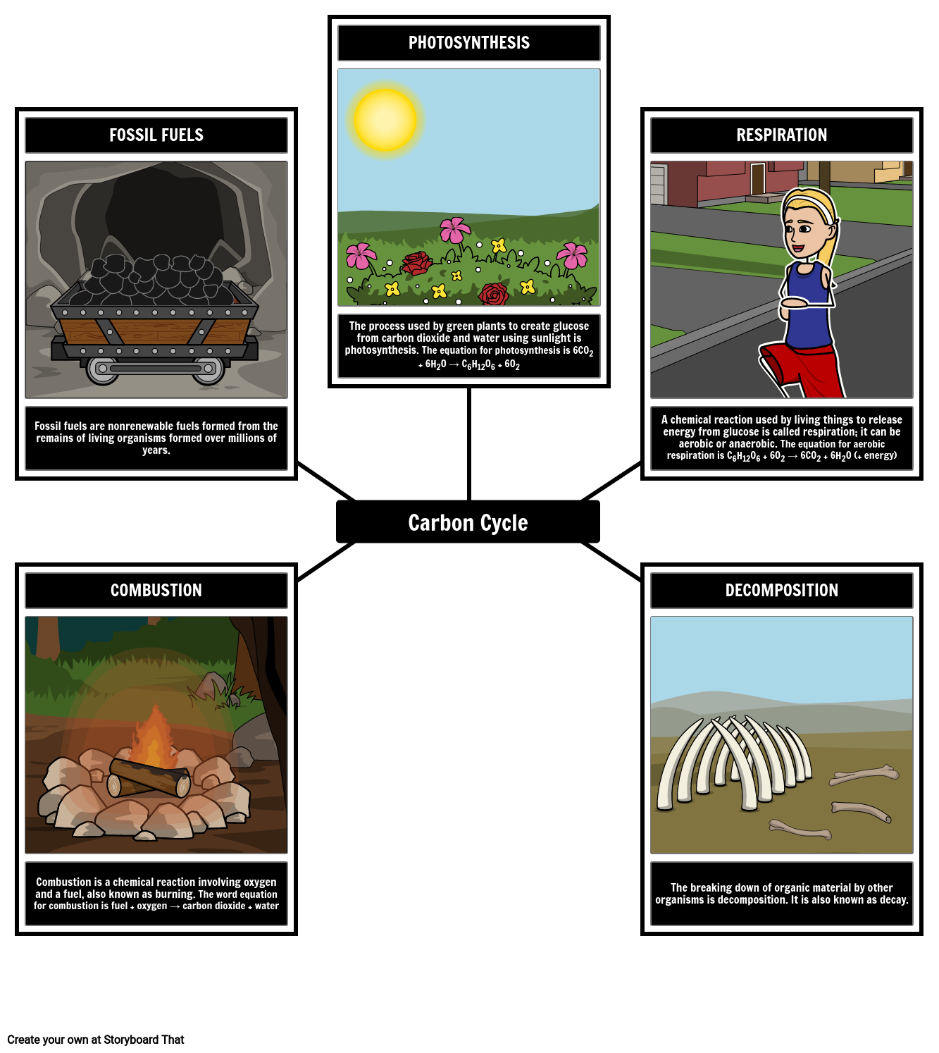 The Carbon Cycle Vocabulary Storyboard Oliversmith