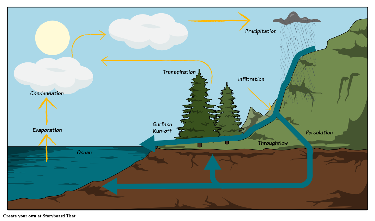 Water Cycle Diagram | Label Parts of the Water Cycle