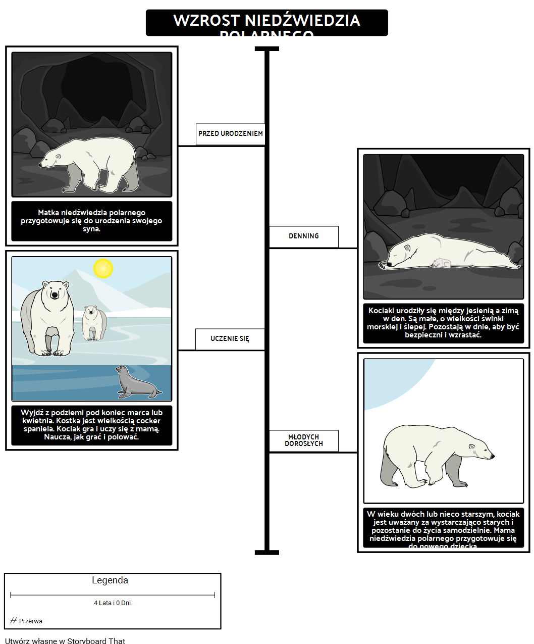 Gdzie Mieszkają Polarne Mioty? Wzrost Niedźwiedzi Polarnych