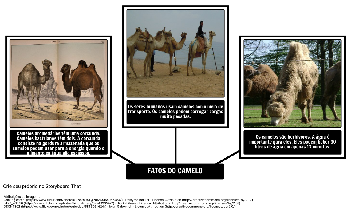 Como o Camelo Obteve sua Corcunda - Fatos do Camelo