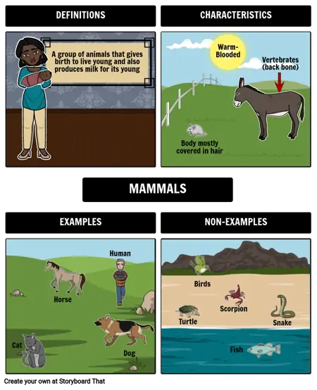 Mammals Frayer Model