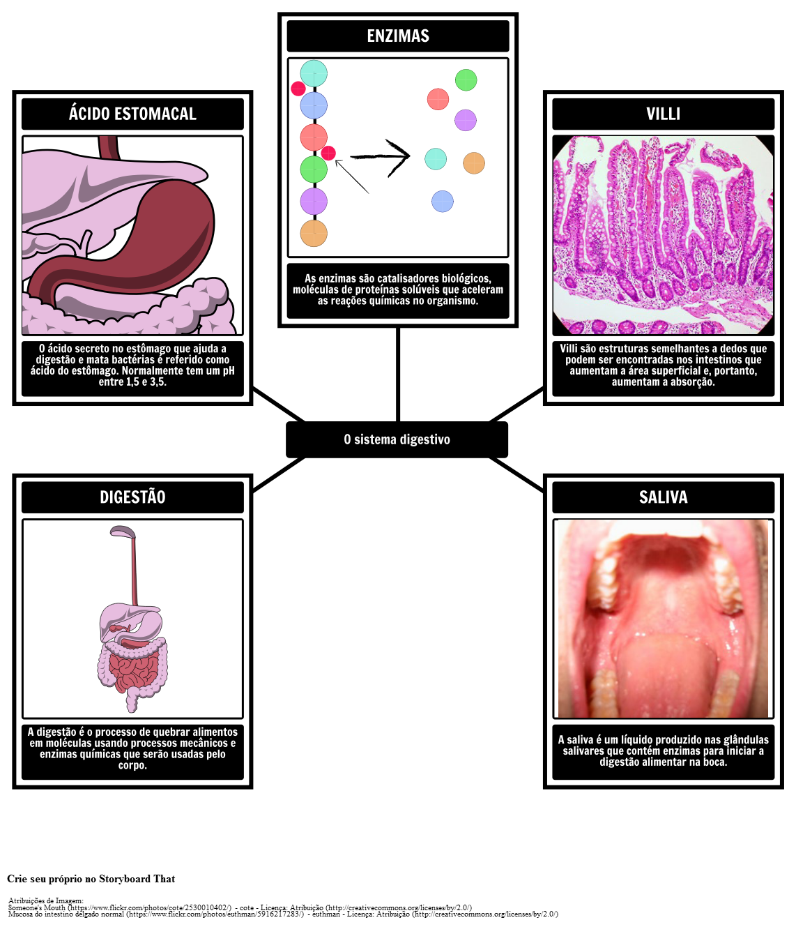 Vocabulário do Sistema Digestivo
