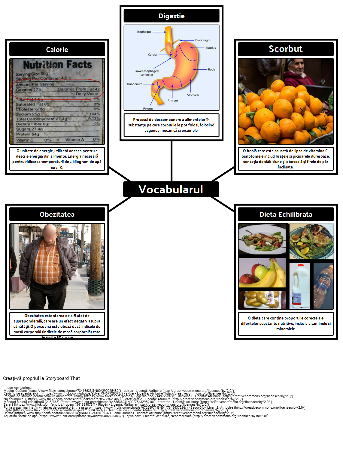 Alimentație și Nutriție Vocabular