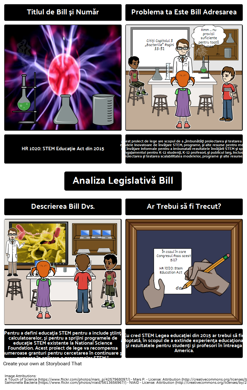 Analiza Legislativă Bill Exemplu